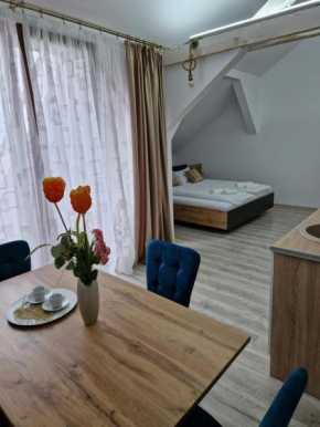 ORI Orange Studio Malul Mureșului